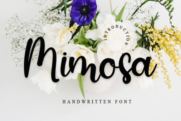 Enhance Your Campaign with Mimosa: A Versatile Handwritten Font