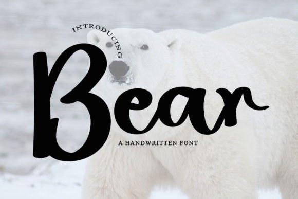 Unleash Creativity with Bear: A Magical Handwritten Font